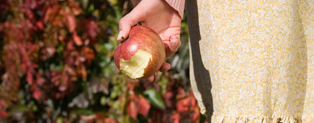 manger-en-pleine-conscience