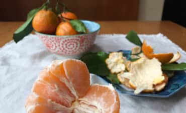 10-astuces-sante-avec-vos-restes-de-cuisine