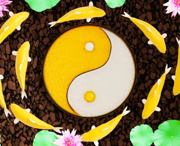 feng shui